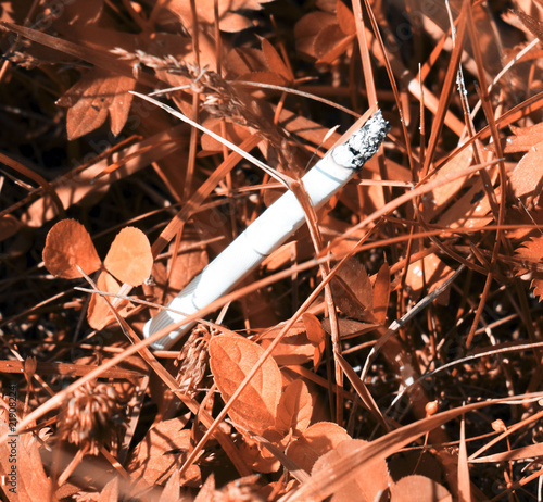 Cigarette in the grass. A fire in the woods. Forest fire. Environmental protection. Fire. Bad habit. Smoking. Tobacco. A cigarette butt thrown to the ground.