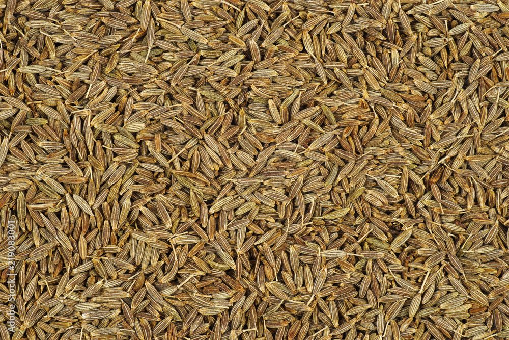 Jeera (cumin, cuminum cuminum) seeds