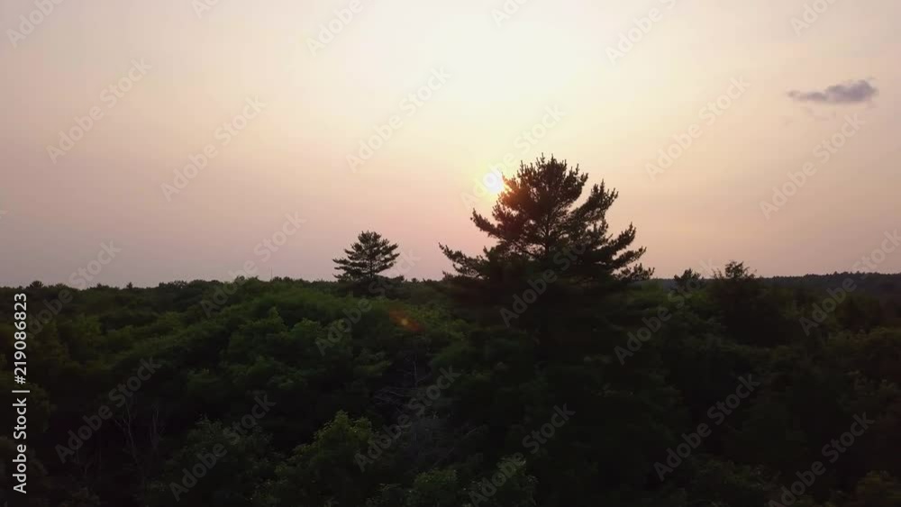 Aerial view of the sunset behind trees above a forest Aerial view of the sunset behind trees above a forest