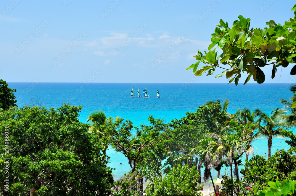 Turquoise Ocean with sailing boats, lots of green trees on the beach