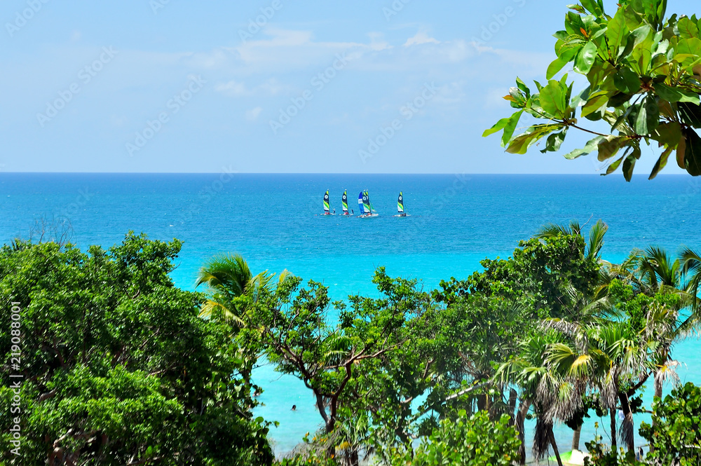 Turquoise Ocean with sailing boats, lots of green trees on the beach Turquoise Ocean with sailing boats, lots of green trees on the beach