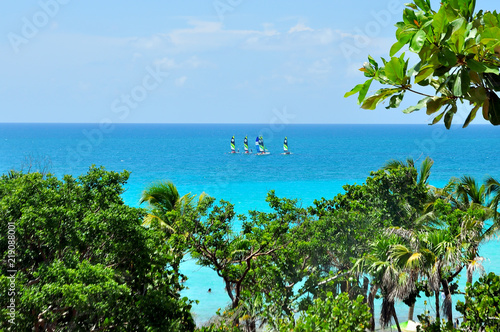 Turquoise Ocean with sailing boats, lots of green trees on the beach