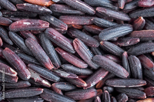 raw organic Thailand riceberry rice texture background