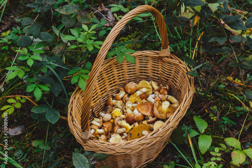 wicker basket with mushrooms