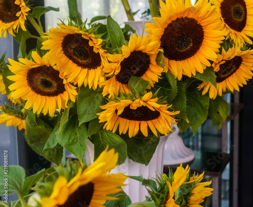 Fototapeta Naklejka Na Ścianę i Meble -  Beautiful decorative sunflowers used for making bouquets