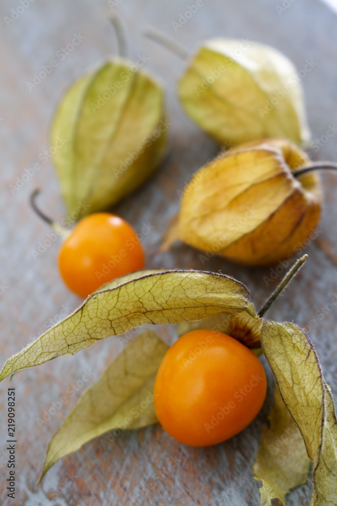 fresh fruit physalis fresh fruit physalis