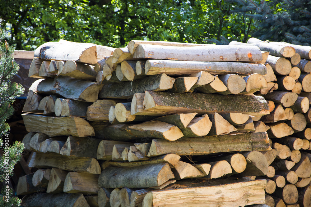 A pile of firewood