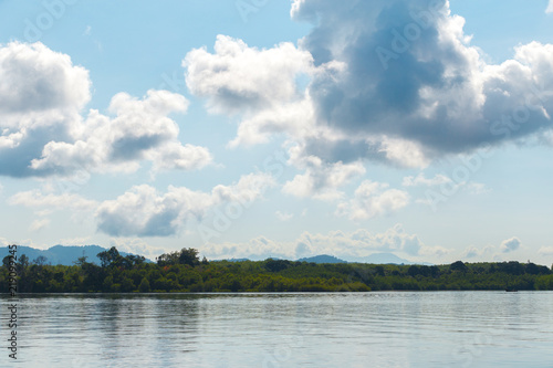 Summer forest river range landscape.