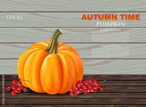 Autumn pumpkin Vector realistic banner. Layout template harvest on wooden bac...