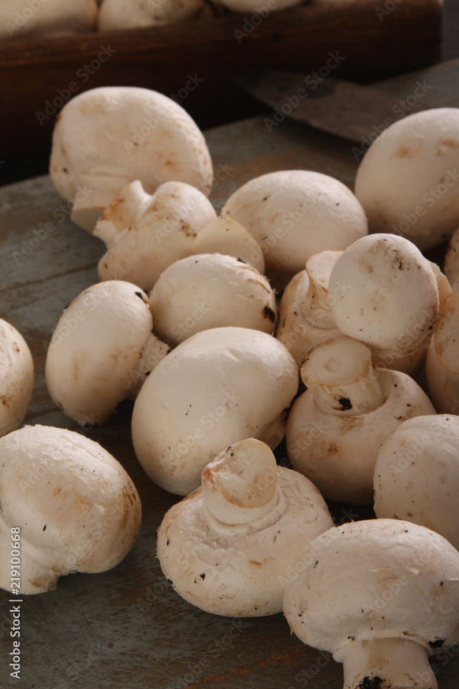 fresh uncooked mushrooms