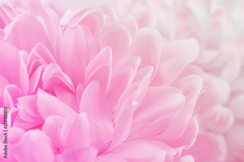 Chrysanthemum flowers in soft pastel color and blur style for background