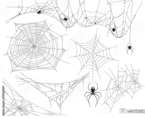 Spider web, vector set of elements