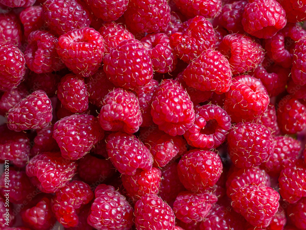 Pattern of fresh raspberries, background for design_ Pattern of fresh raspberries, background for design_