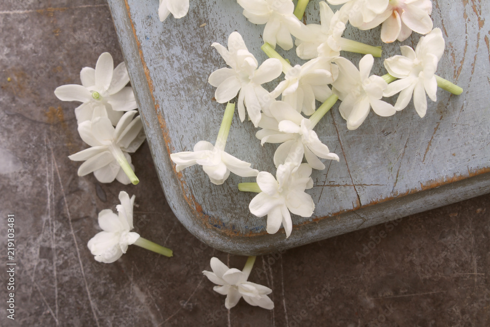 edible flowers jasmine edible flowers jasmine