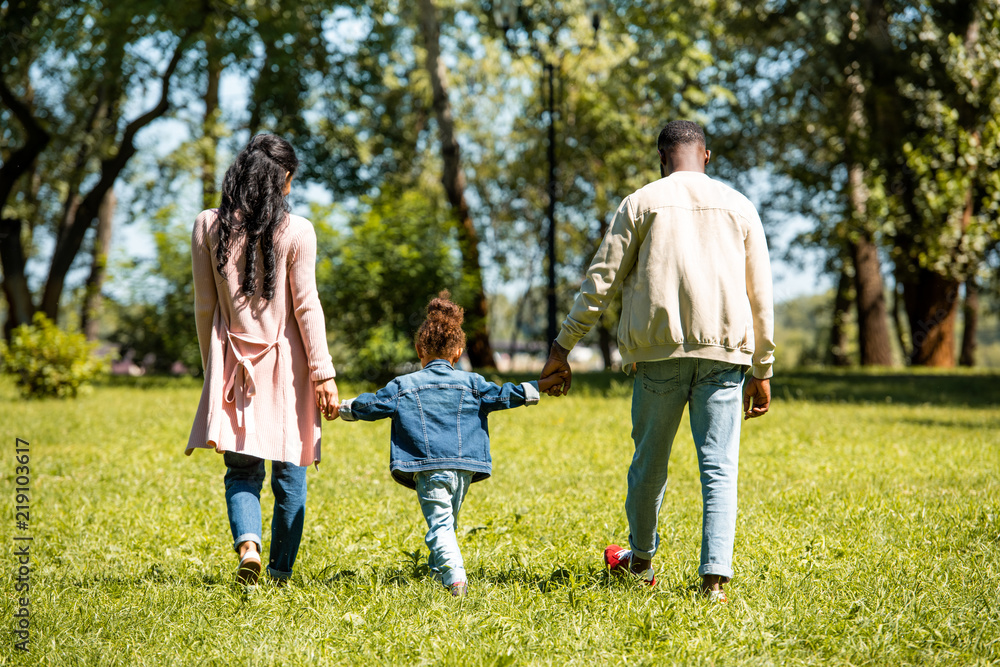 back view of african american parents and daughter holding hands and walking on grass in park