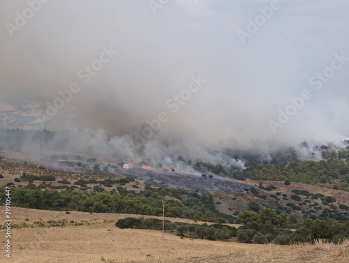 Burning mountains because of forest fire