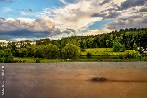Green countryside on river bank in sunset.