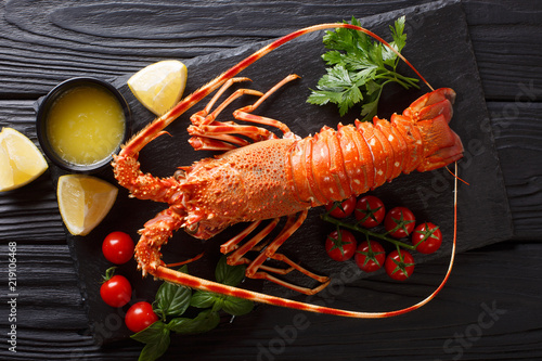 Luxurious boiled lobster surrounded by fresh tomatoes, lemon, herbs and melted butter close-up. horizontal top view