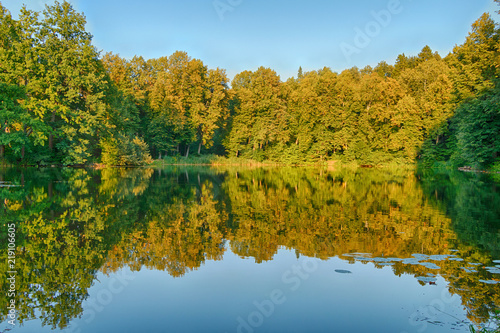 Beautiful summer landscape with lake and forest during sunset