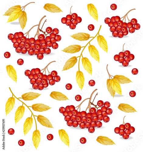 Mountain Ash pattern Vector. Fall autumn backgrounds