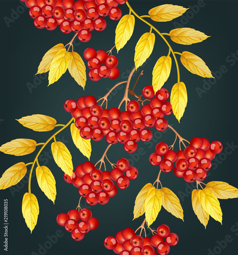Mountain Ash pattern Vector. Fall autumn backgrounds
