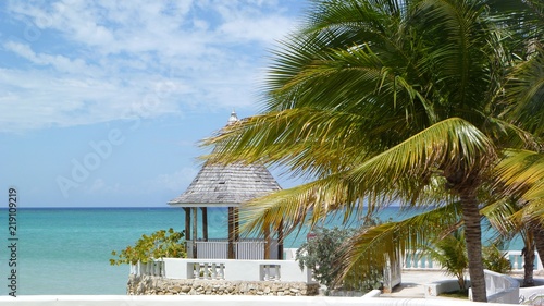 Karibische Aussicht unter Palmen