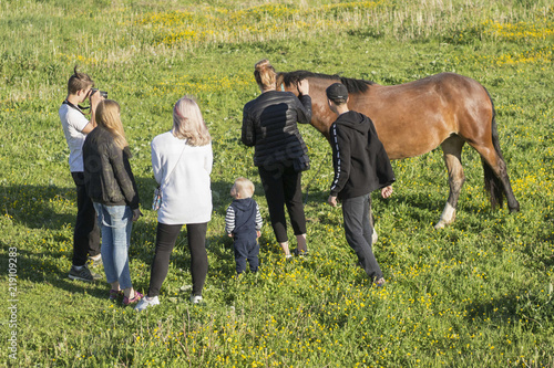 The teenager communicates with the horse. Horse in the woods with a man. Horse ride on the farm. Children and a horse. Walk in the countryside with an animal.