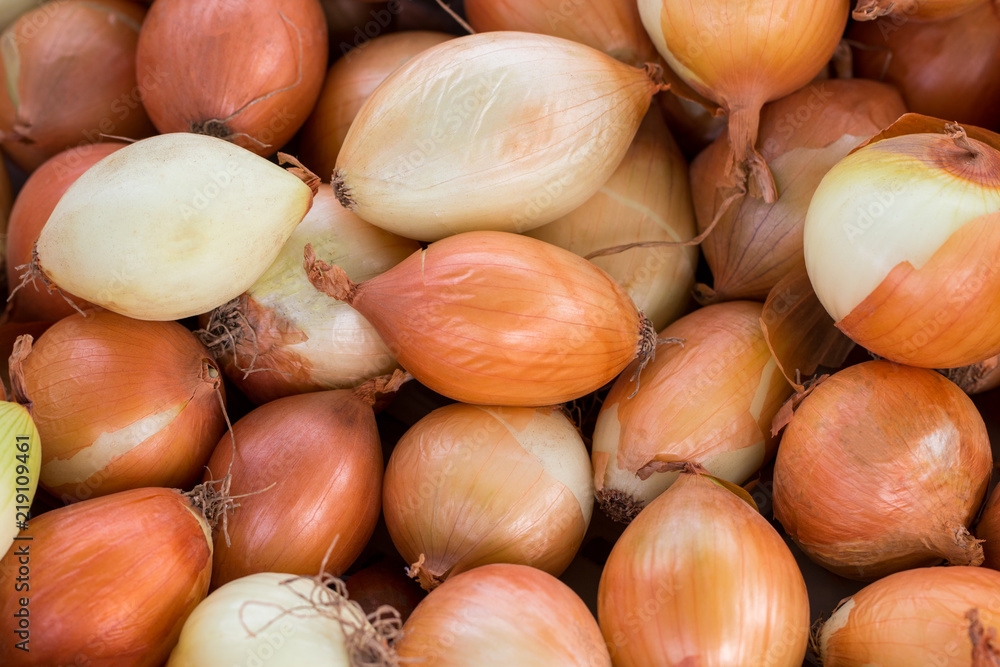 Fresh onions. Onions background. Ripe onions. Onions in market Fresh onions. Onions background. Ripe onions. Onions in market