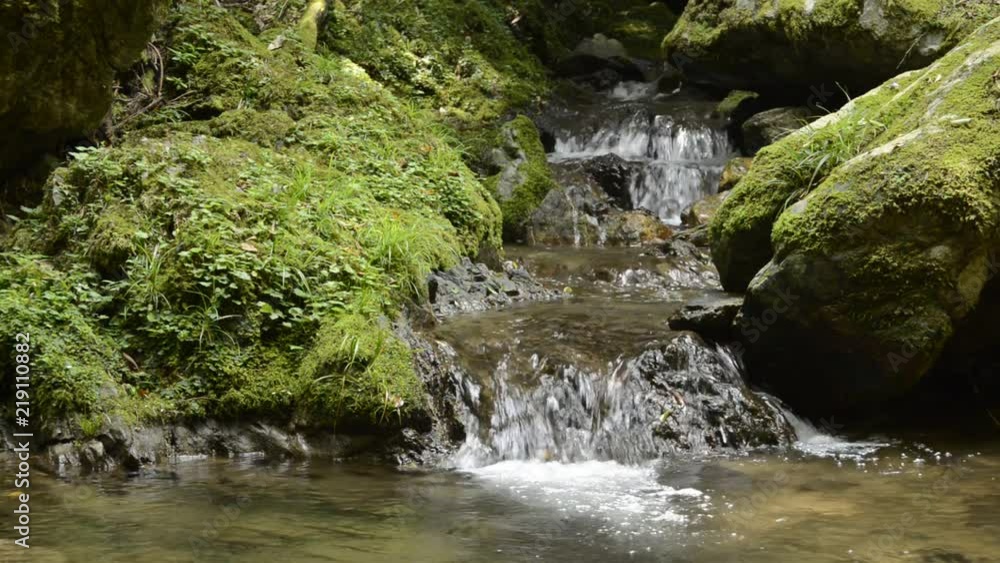 段になっている沢と緑の草 段になっている沢と緑の草