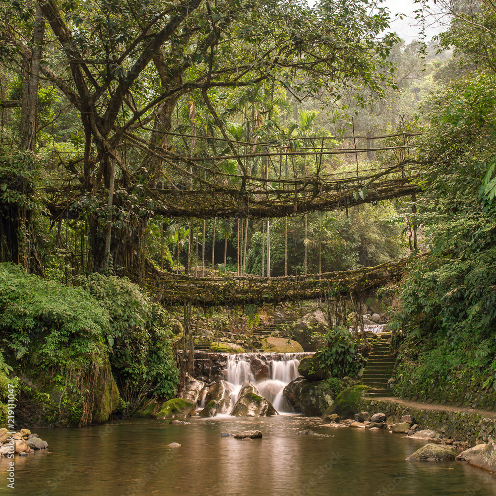 India] Waterfalls and living root bridges in Meghalaya - Nongriat village