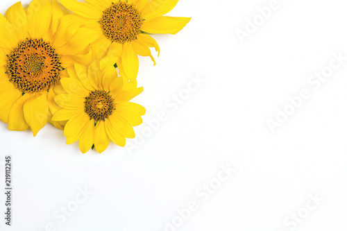 Fototapeta Naklejka Na Ścianę i Meble -  Yellow sunflowers on white background with copy space.