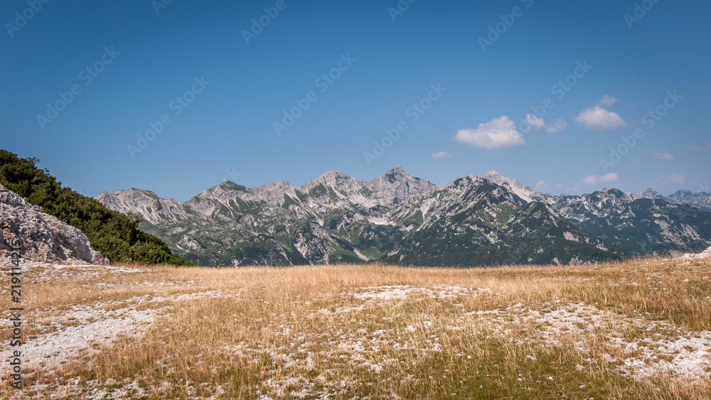 Triglav National park mountains with some dry grass in the foreground
