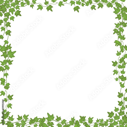 Ivy vines with green leaves. Floral vector rectangular frame isolated on white background