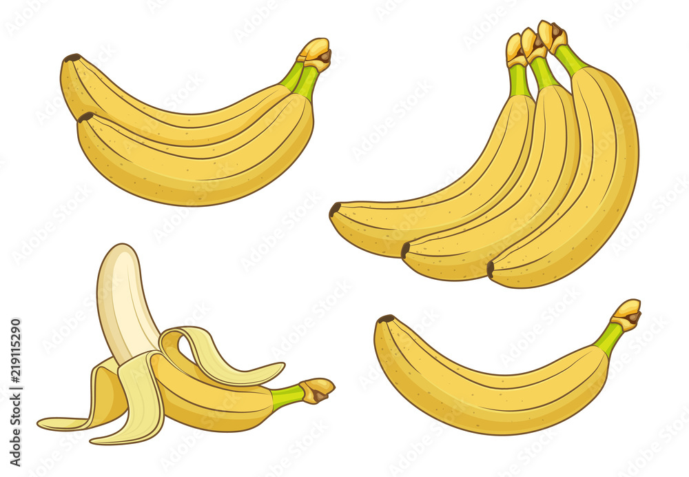 Cartoon banana fruits. Bunches of fresh bananas vector illustration
