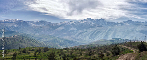 Tablou pe pânză In the mountains of Kopet Dagh