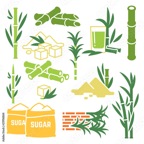 Sugar cane, sugarcane plant harvest vector icons isolated on white background