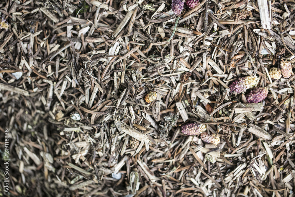 mulch for flowers from withered plants, mulch for flowers from withered plants,