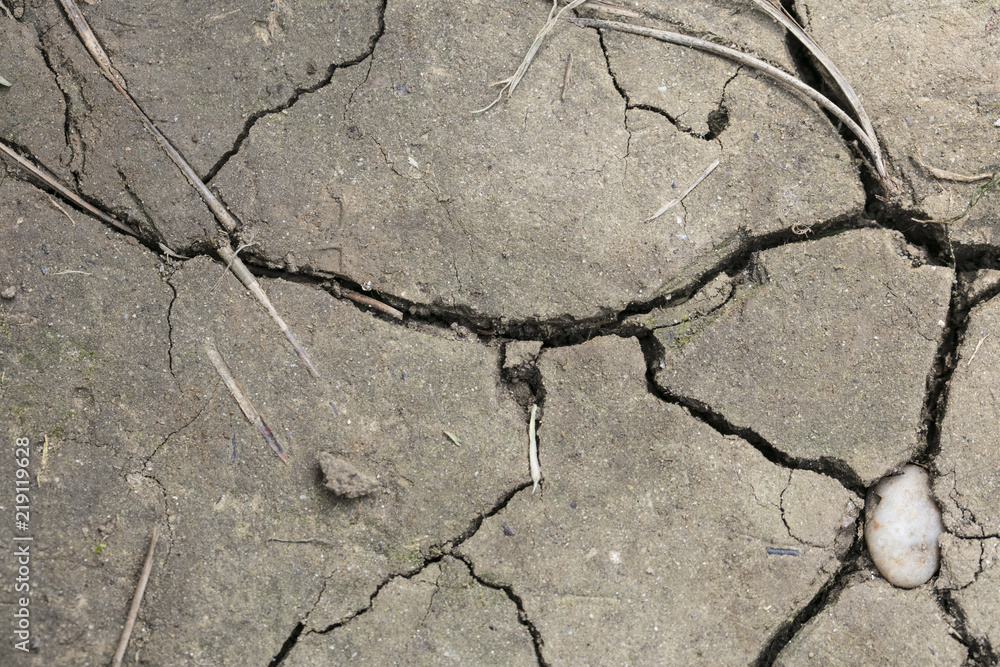 Obraz premium cracked dried mud, perfect background