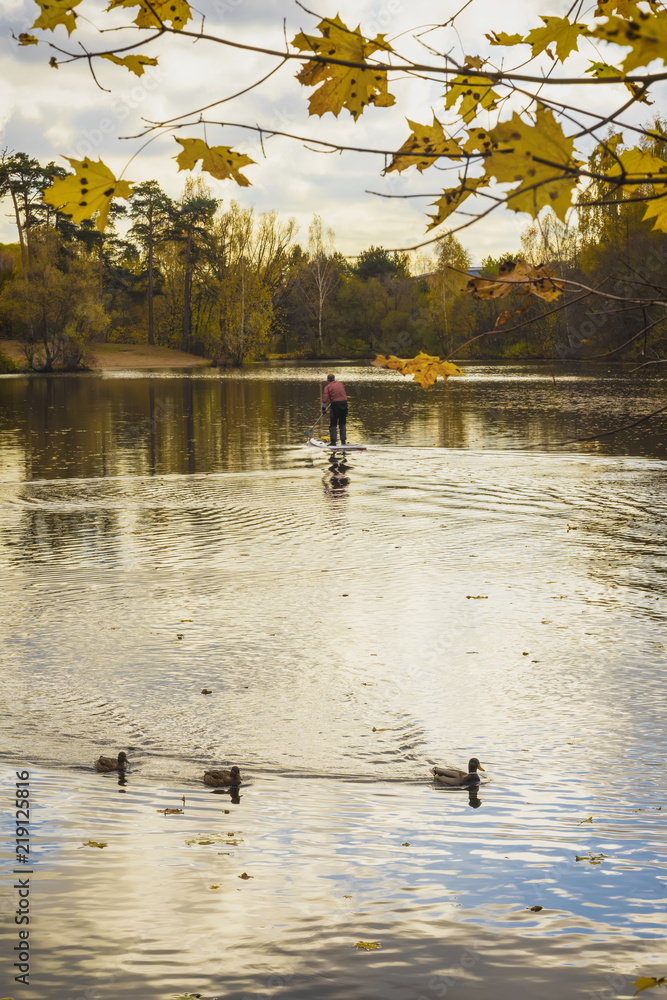 Obraz premium Autumn landscape, unrecognizable young man, surfer, pond, wildlife, ducks on the water, yellow forest leaves
