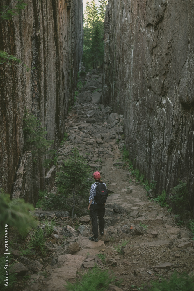 Obraz premium Adventure in the forest