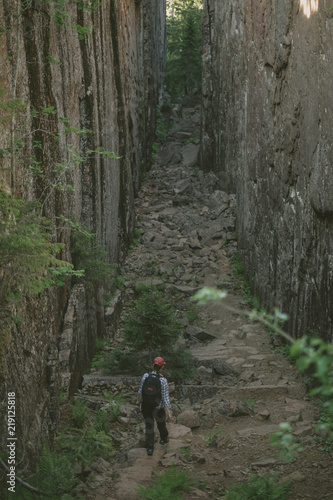 Adventure in the forest