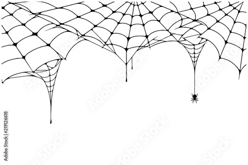 Fotografie, Obraz Scary spider web background