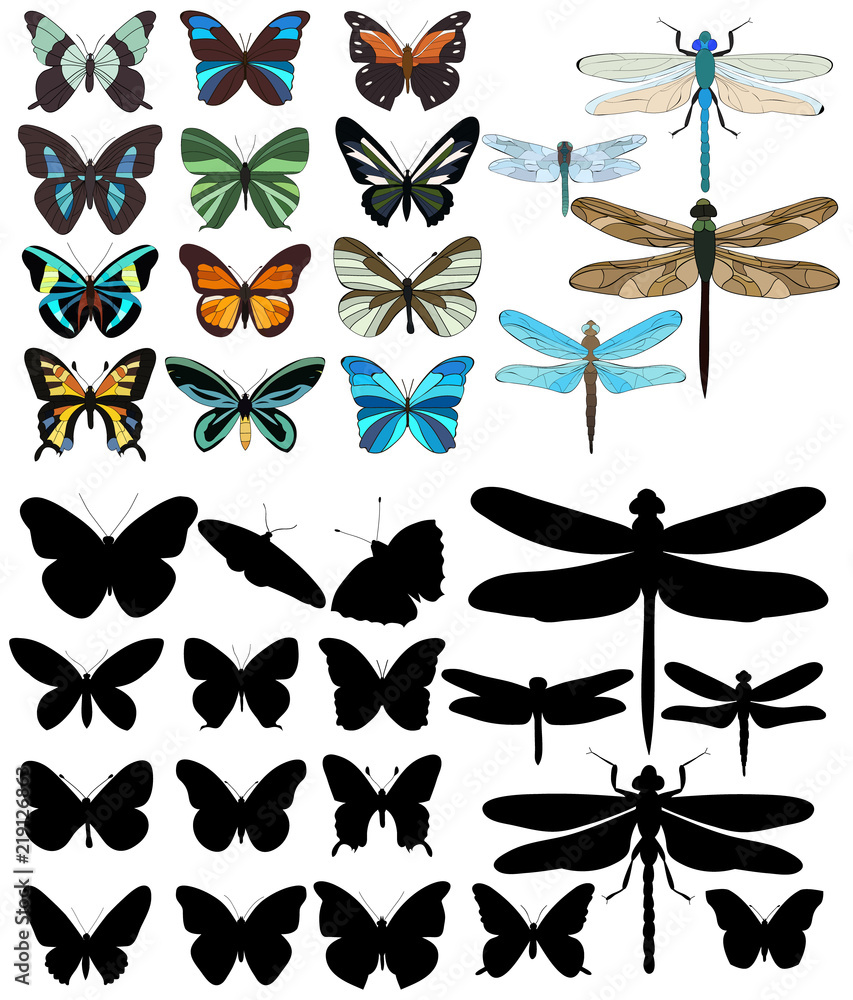 insect set of butterflies and dragonflies, silhouette, sketch insect set of butterflies and dragonflies, silhouette, sketch