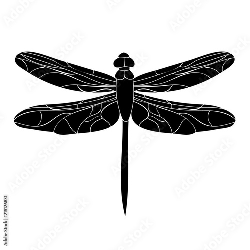 insect silhouette of dragonfly