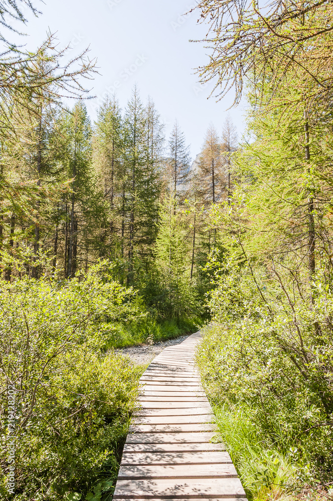 Zermatt, Furi, Moorgebiet, Lärchenwald, Arvenholz, Wanderweg, Holzstegweg, Wallis, Walliser Berge, Alpen, Hängebrücke, Gornerschlucht, Sommer, Schweiz