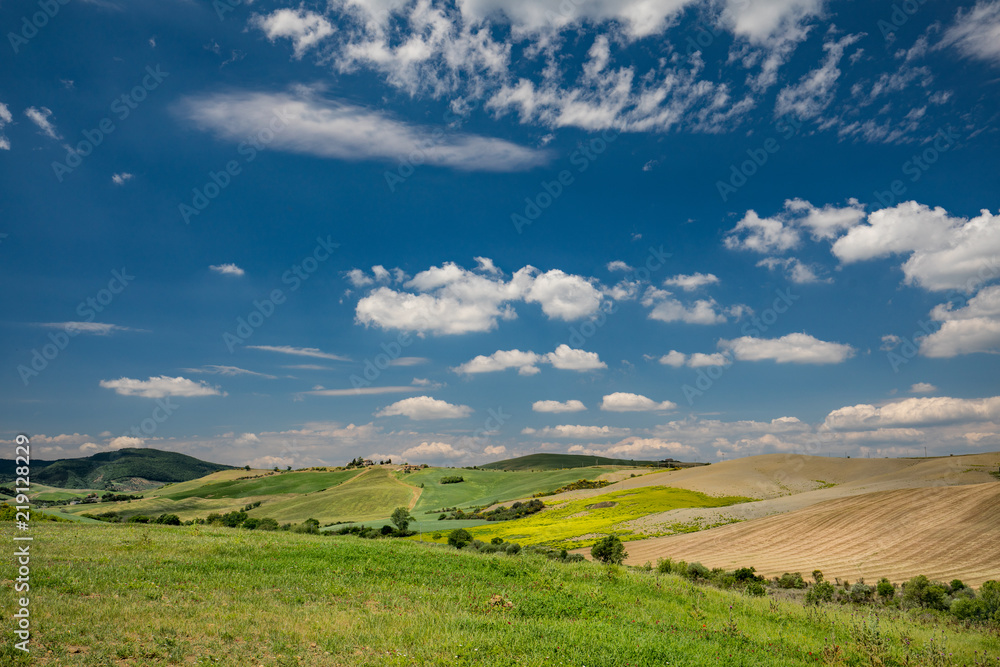 Fototapeta premium Landscape in Tuscany, Italy