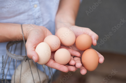 gathering eggs © Alise