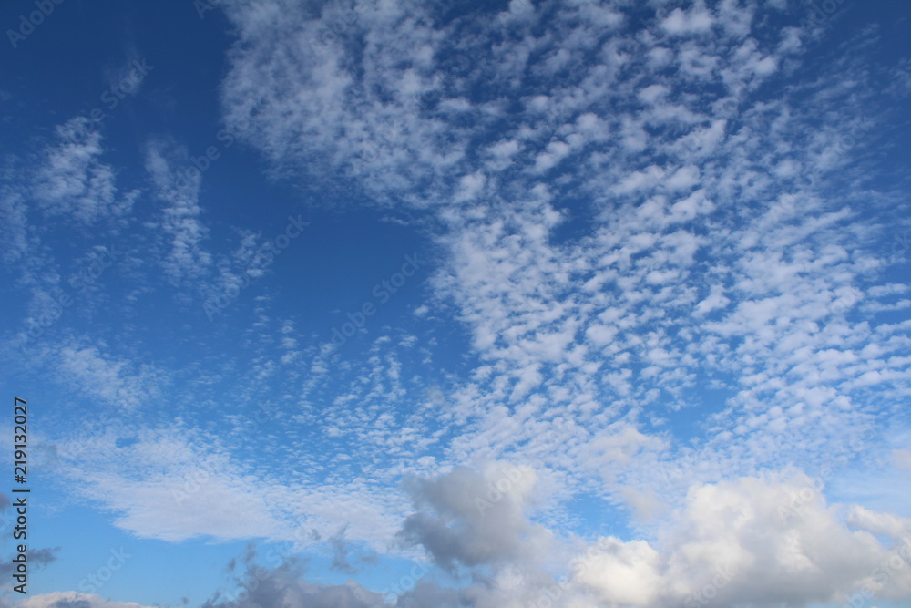 Fototapeta premium 青空