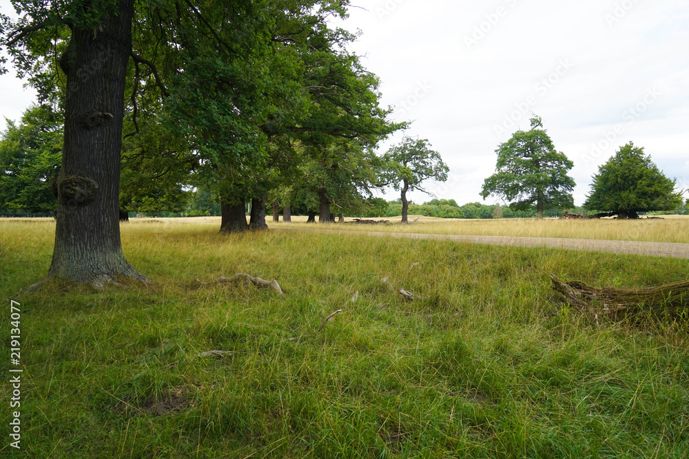 Dyrehaven is a forest park north of Copenhagen. It covers around 11 km². Dyrehaven is noted for its mixture of huge, ancient oak trees and large populations of red and fallow deer. Dyrehaven is a forest park north of Copenhagen. It covers around 11 km². Dyrehaven is noted for its mixture of huge, ancient oak trees and large populations of red and fallow deer.