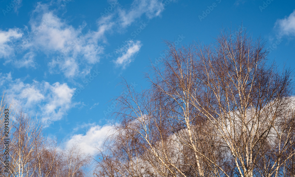 Guardando il cielo Guardando il cielo
